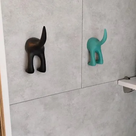 Maison Marie Curie *